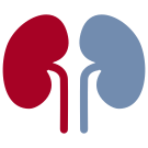 NephroWiki:Lehre